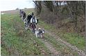Tour Taunus 212